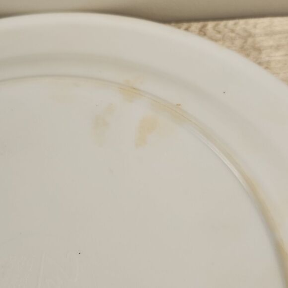 Trisa Melamine Hot Summer Plate Set of 4 10" - Picture 10 of 12